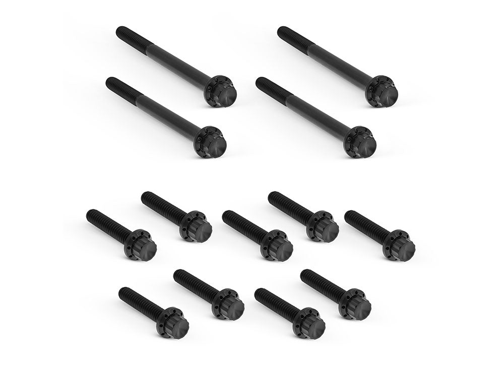 Titanium 12-Point Primary Cover Bolt Kit - Black. Fits Softail 2007-2017 Non-240 Tyre Models & Touring 2017up