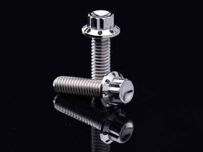 Titanium 12-Point Primary Cover Bolt Kit - Polished. Fits Softail 2018up Non-240 Tyre Models